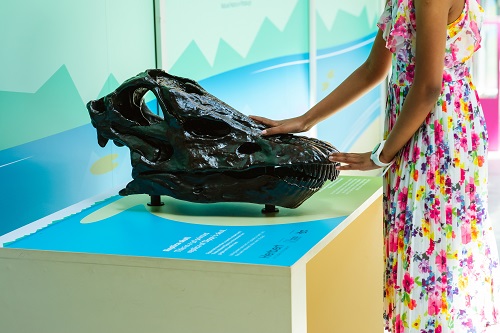 Image for Dinosaur themed activities at the heart of Coventry's free and budget-friendly offer for families this summer