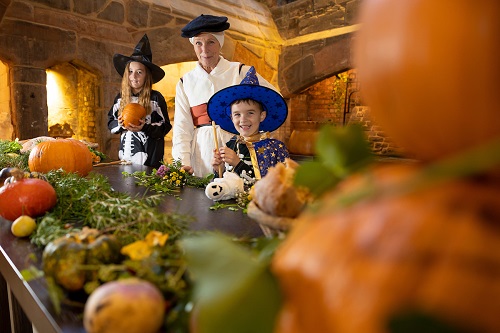 Image for Tudors, barn owls, and supernatural guests to visit historic venue for ghoulish Halloween activities