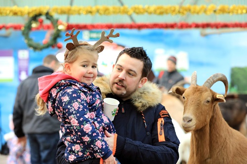 Image for Christmas Re-imagined at Hatton Country World!