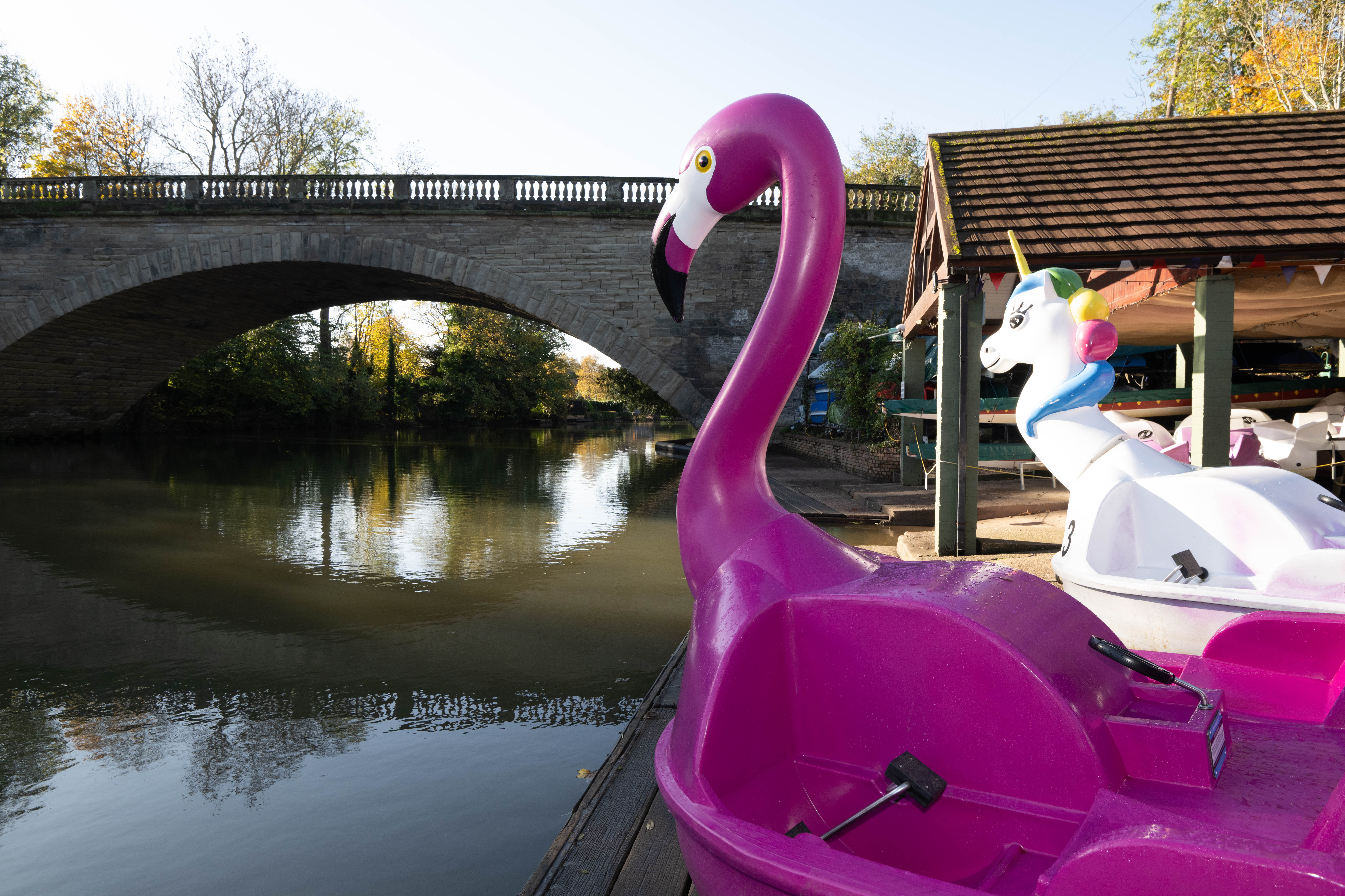 Image for Top attractions and family activities for Easter fun in Warwickshire revealed 