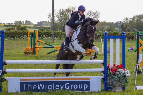 Image for National horse riding comp at Warwickshire college