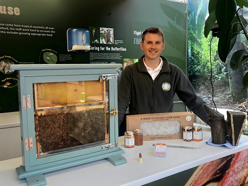 Image for Discover all about Bees & Spiders this Half term!