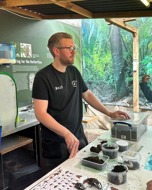 Image for Discover the world of Beetles this summer at Stratford Butterfly Farm
