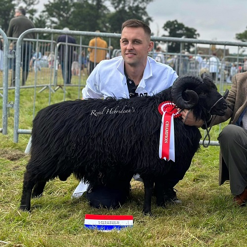 Image for Popular flock of biodiversity boosting Hebridean sheep at Ryton Pools set for 10 year stay 
